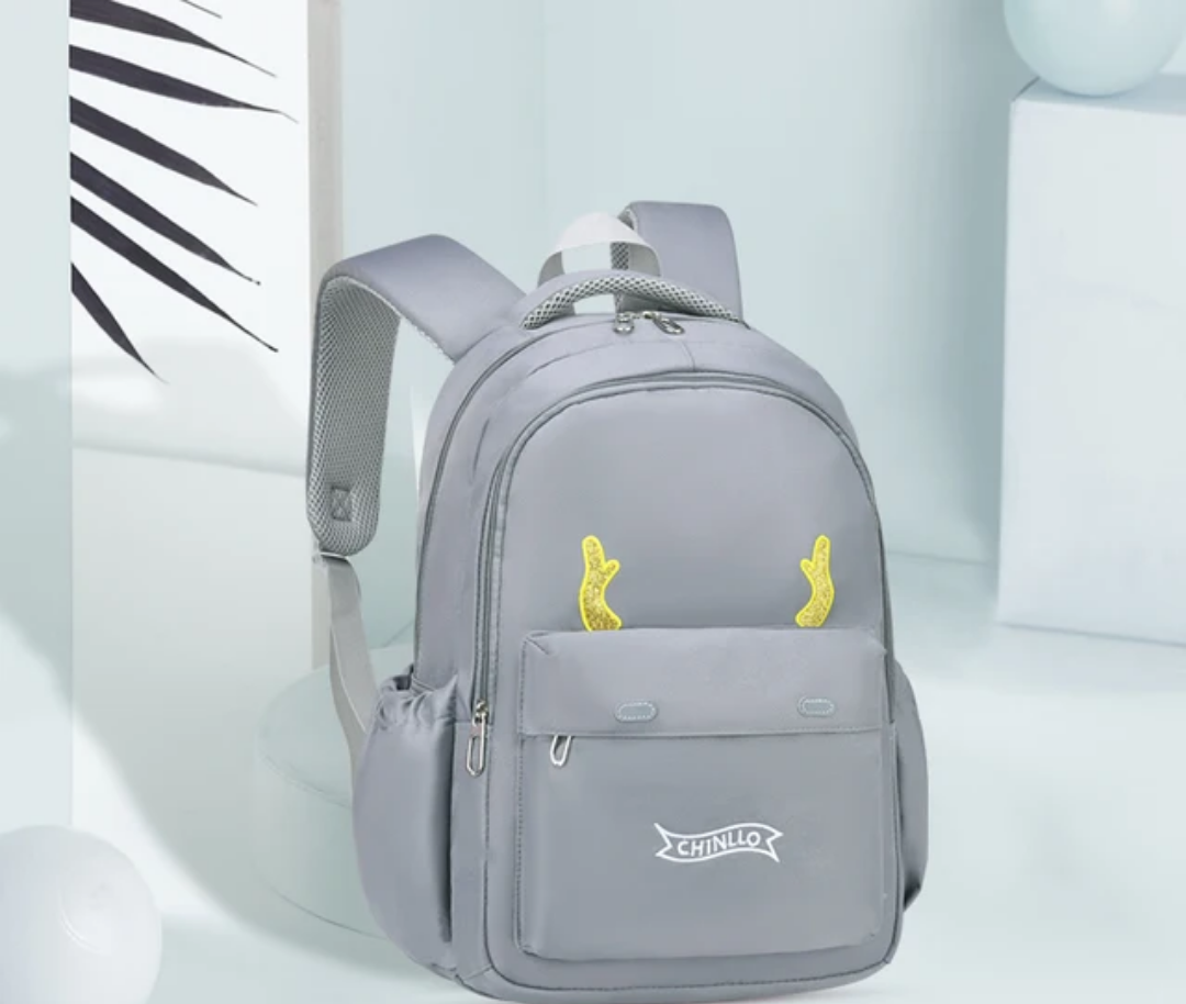 Kids School Bag