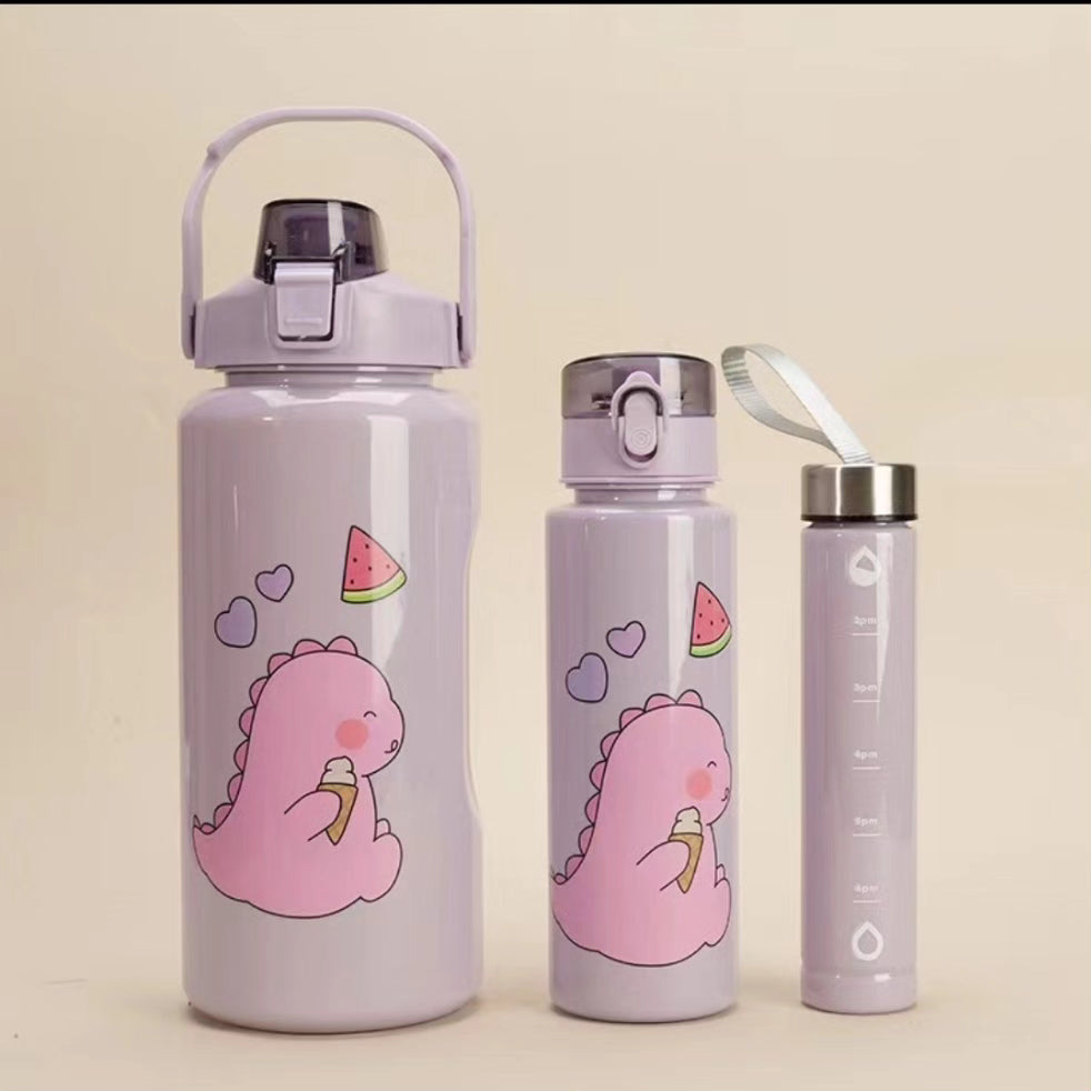 3 in 1 Motivational water bottle