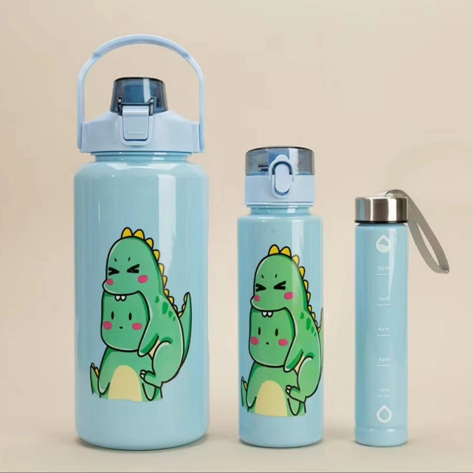 3 in 1 Motivational water bottle