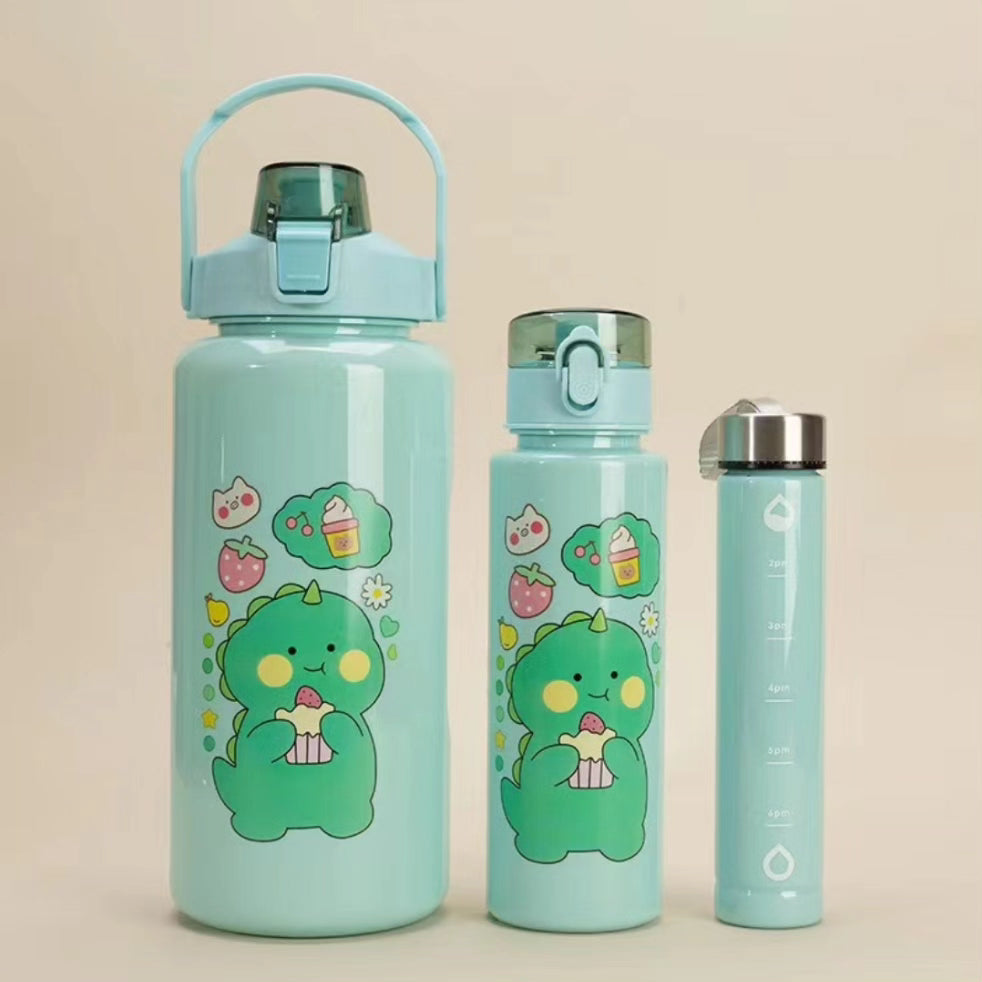 3 in 1 Motivational water bottle